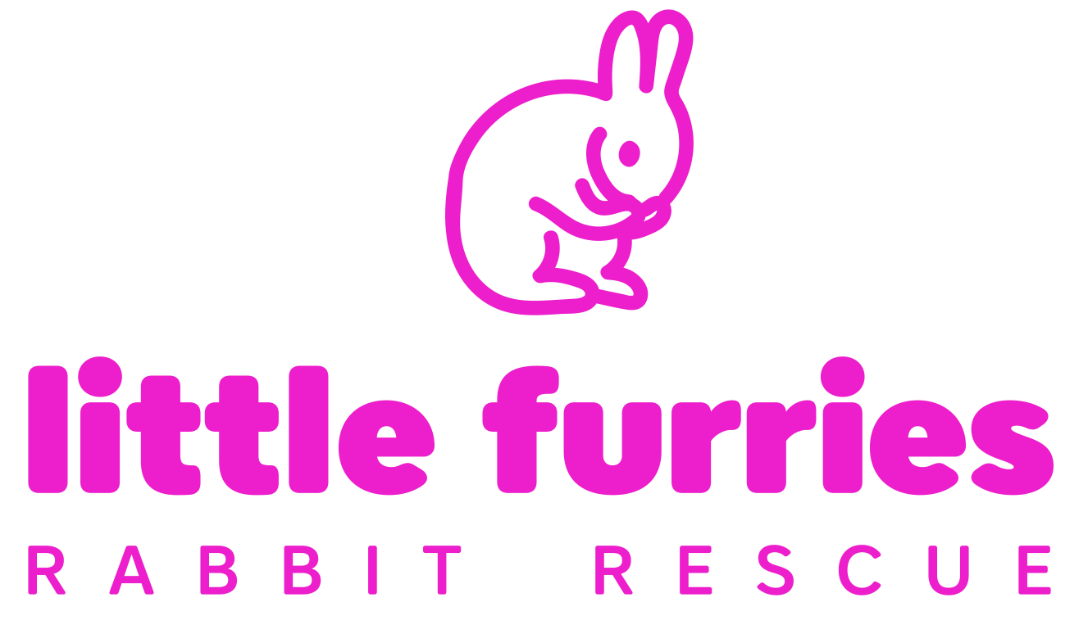 Little Furries Logo with bunny